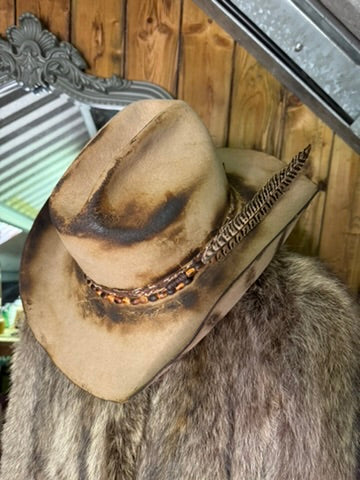 Safari